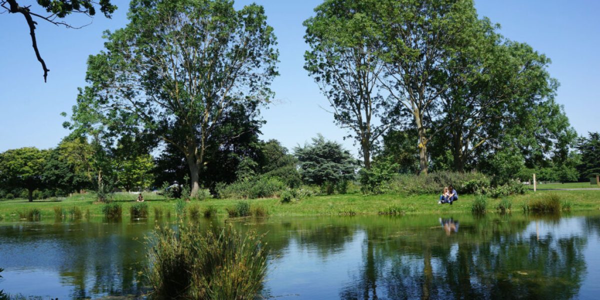 Stock-Pond-LUC-28-june-2019-1024x680